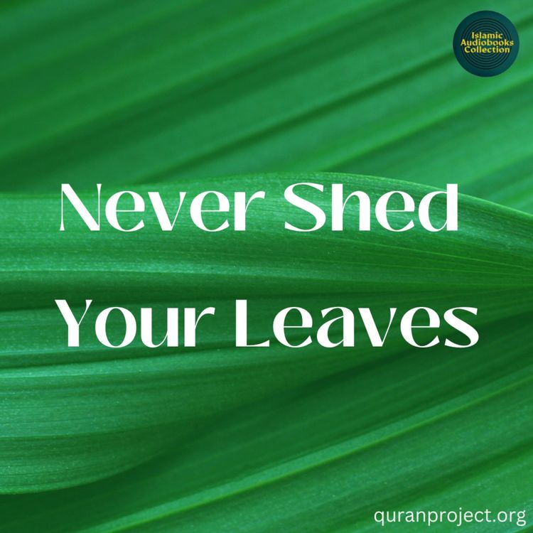 cover art for Never Shed Your Leaves  (QuranProject) 