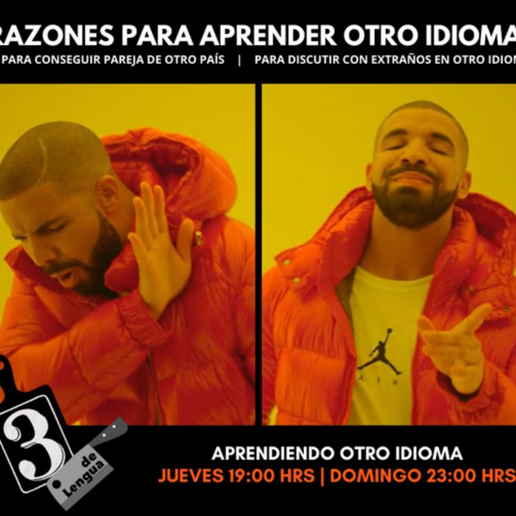 cover art for Aprendiendo otro idioma