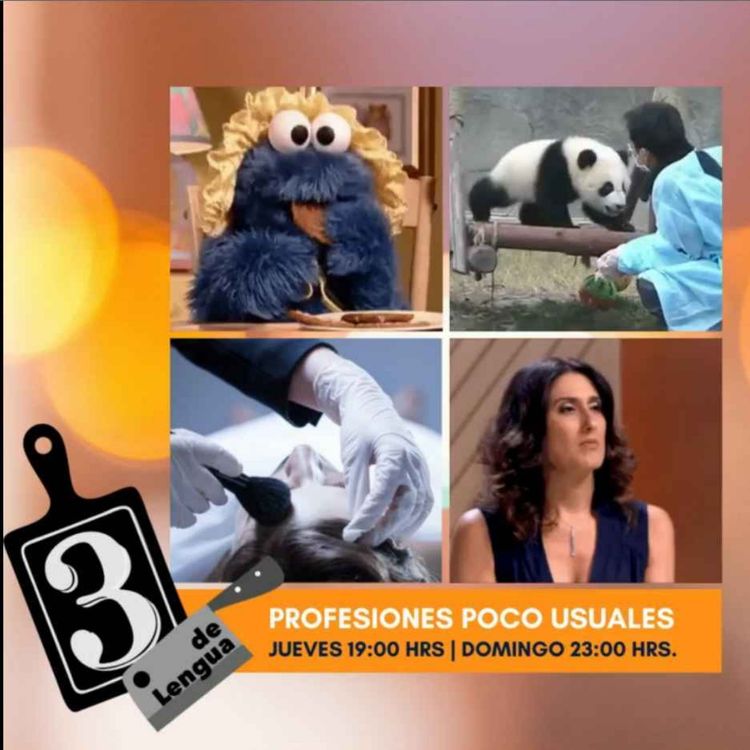 cover art for Profesiones poco comunes y desconocidas