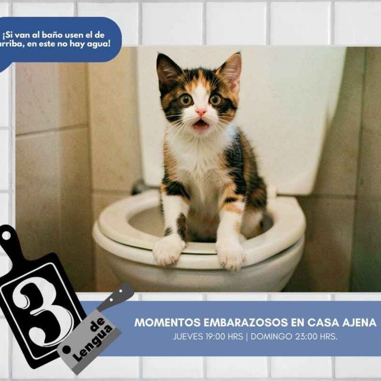 cover art for MOMENTOS EMBARAZOSOS EN CASA AJENA