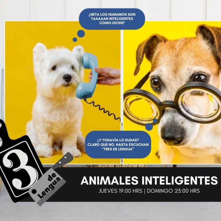 cover art for ANIMALES INTELIGENTES