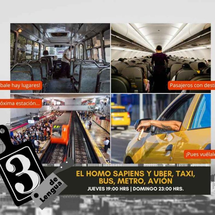 cover art for HOMO SAPIENS Y UBER, TAXI, BUS, METRO, AVIÓN