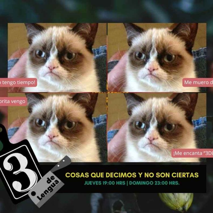 cover art for COSAS QUE DECIMOS Y NO SON CIERTAS