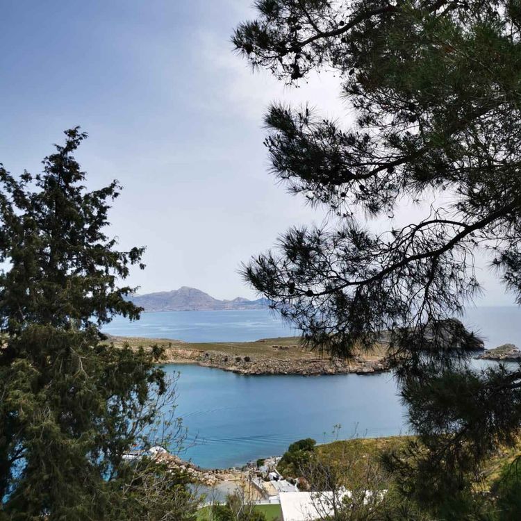 cover art for The Who, the What and the Why ?!