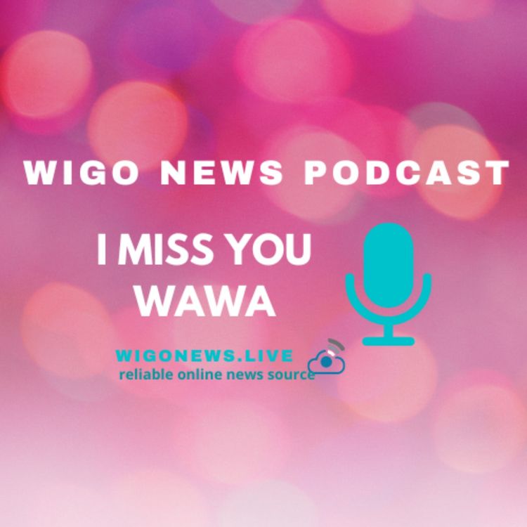 cover art for WIGO NEWS PODCAST : I MISS YOU CUZ' (BY NALEDI SEAGA-SIBISI)