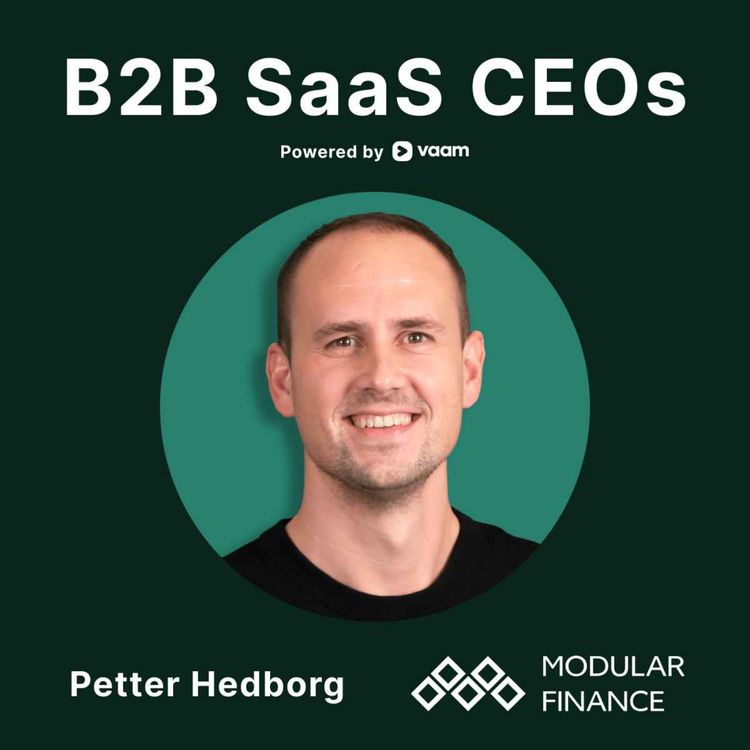 cover art for 37. Petter Hedborg (Modular Finance) - Bootstrapped & very profitable