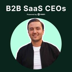 cover art for B2B SaaS CEOs