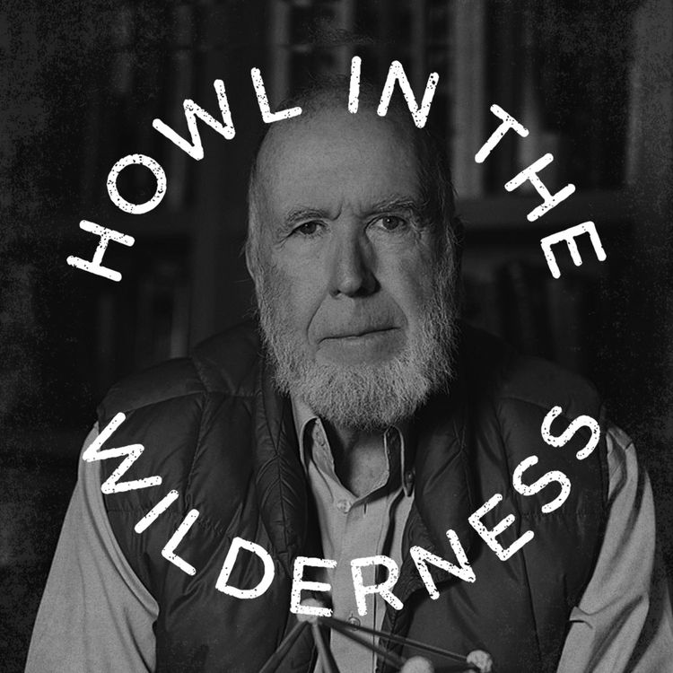 cover art for PREVIEW: Kevin Kelly | Excellent Advice for Creatives & Entrepreneurs | HITW 113