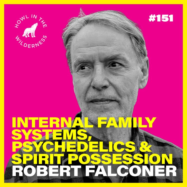 cover art for (Preview) Internal Family Systems, Psychedelics & Spirit Possession | Bob Falconer | HITW 151