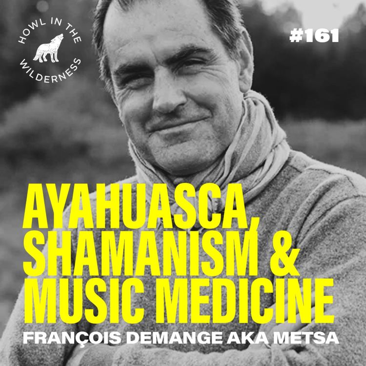 cover art for (PREVIEW) Ayahuasca, Shamanism & Music Medicine | François Demange (Metsa) | HITW 161