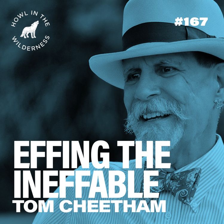 cover art for Tom Cheetham | Effing the Ineffable (Jung, Hillman, Corbin & Psychedelic Philosophy) | HITW 167