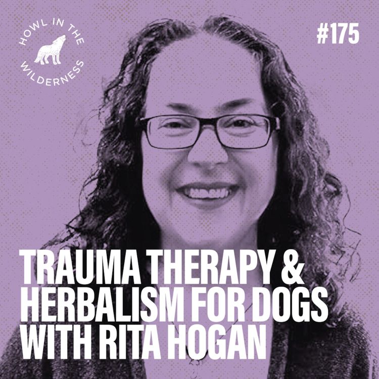 cover art for Trauma Therapy & Herbalism For Dogs | Rita Hogan | HITW 175