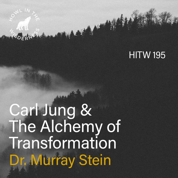cover art for Carl Jung & The Alchemy of Transformation | Murray Stein | HITW 195