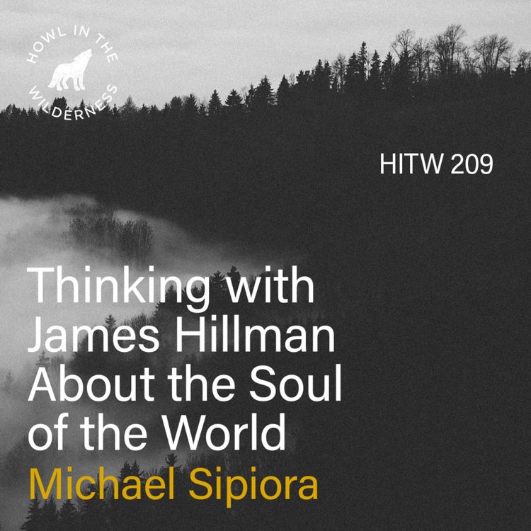cover art for Thinking with James Hillman about the Soul of the World (RVP50) | Michael Sipiora | HITW 209