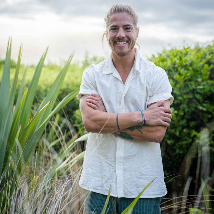 cover art for Jansen Andre (The Summit) 