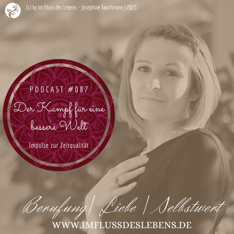 cover art for Der Kampf für eine bessere Welt