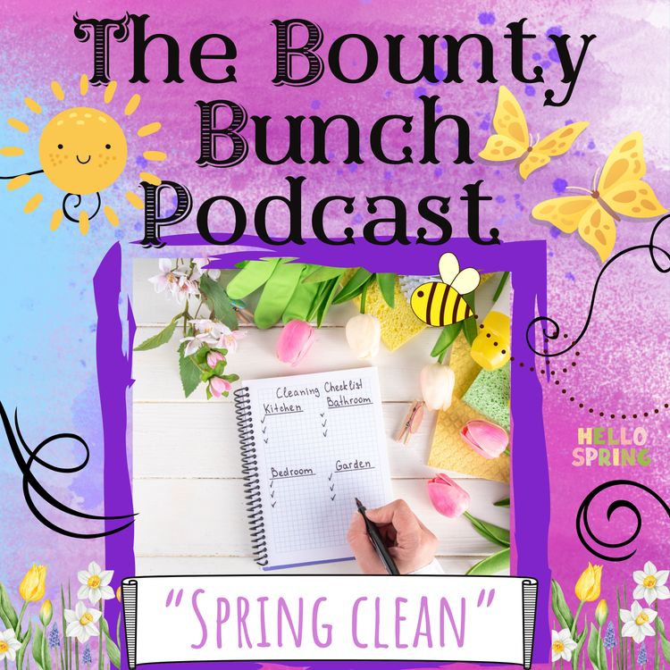 cover art for Spring Clean