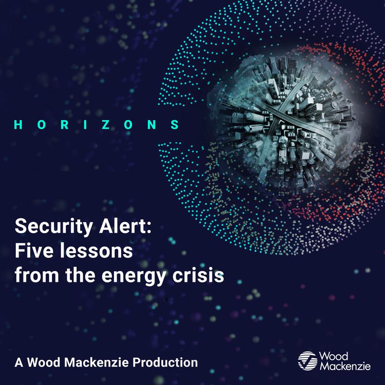 cover art for Security Alert: Five Lessons From The Energy Crisis
