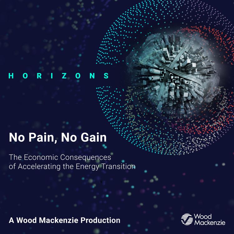cover art for No Pain, No Gain:  The Economic Consequences of Accelerating the Energy Transition