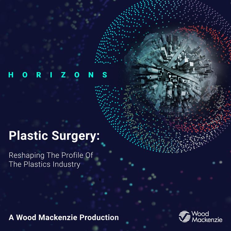 cover art for Plastic Surgery: Reshaping the Profile of the Plastics Industry