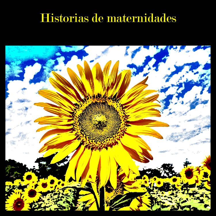 cover art for Episodio 12 El hijo