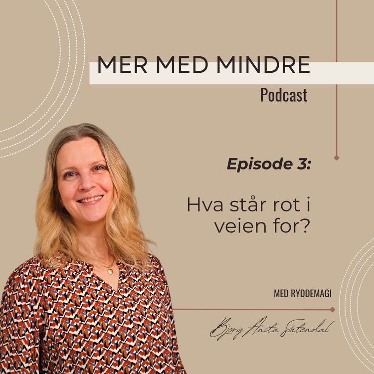 cover art for #3 - Hva står rot i veien for?