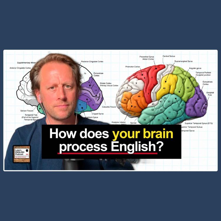 cover art for Neuroscience & Learning English 🧠 11 Surprising Facts [1002]