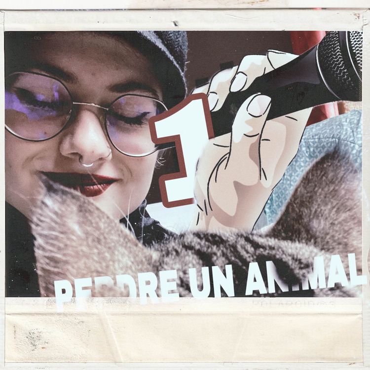 cover art for PODCAST 1 Le deuil animalier (+ féminisme parce que ici on est chez imnotanissa)