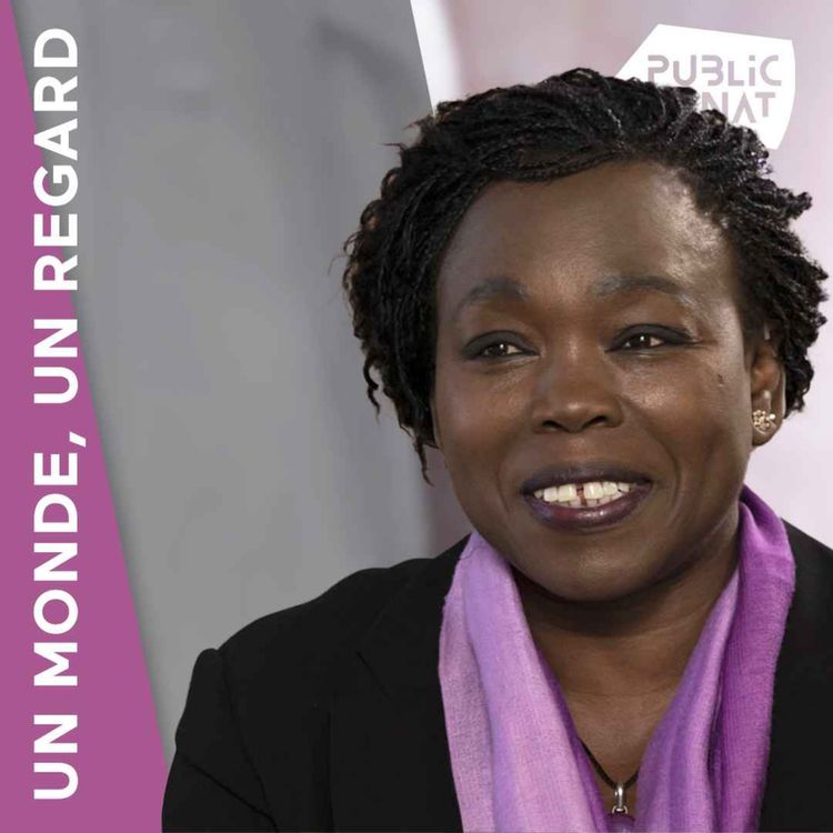 cover art for Fatou Diome, la petite fille de pêcheur devenue écrivaine