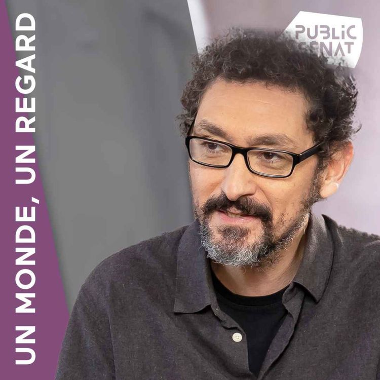 cover art for David Foenkinos, ses succès et sa délicatesse