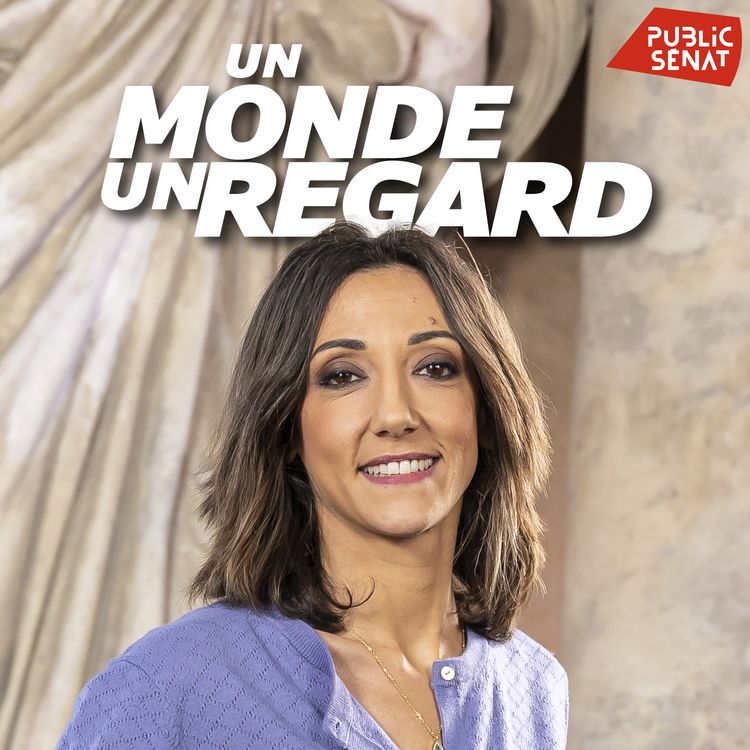 cover art for Mathieu Sapin, le dessin de l'Intérieur