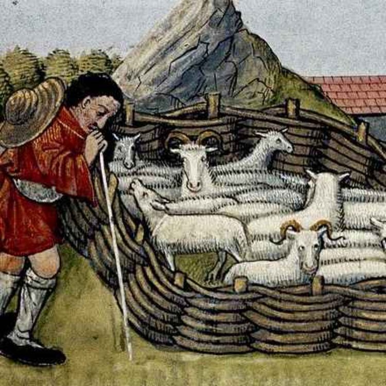 cover art for A land of sheep and glory