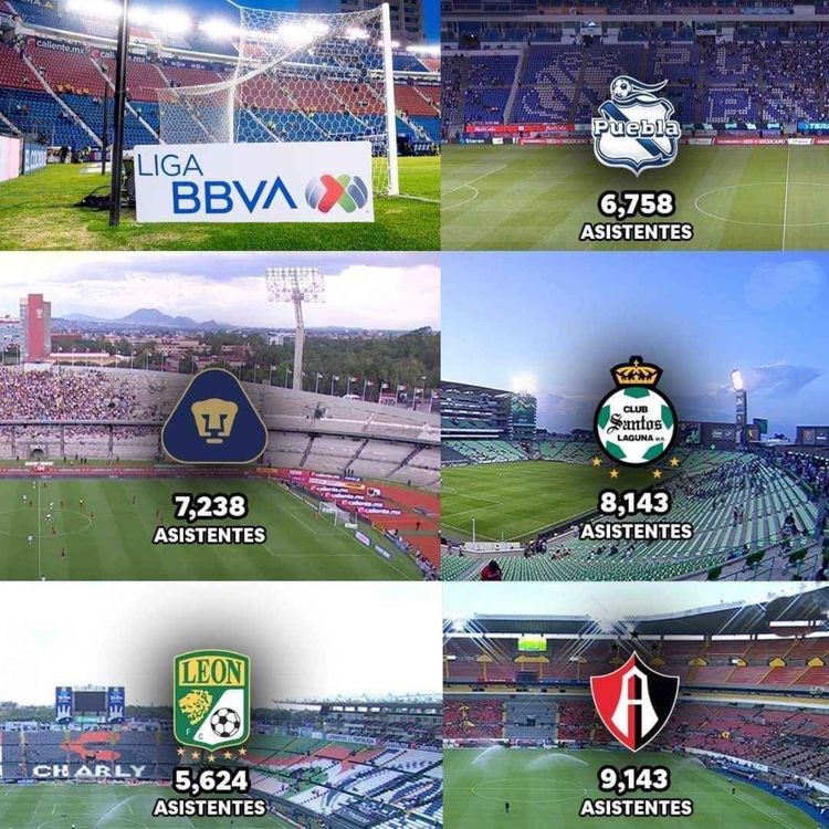 cover art for Programa 25 de septiembre de 2024