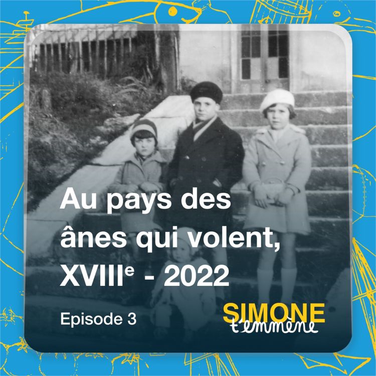 cover art for 3 - Au pays des ânes qui volent XVIIIe - 2022