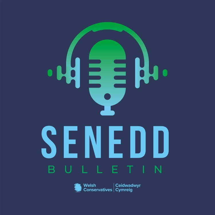 cover art for Senedd Bulletin - Episode 3