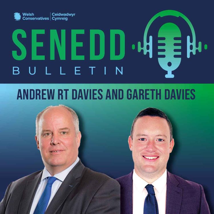 cover art for Senedd Bulletin Podcast - 15/01/2024