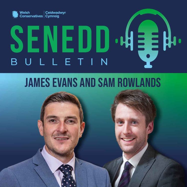 cover art for Senedd Bulletin Podcast - 22/01/2024