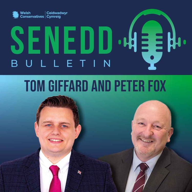 cover art for Senedd Bulletin Podcast - 29/01/2024