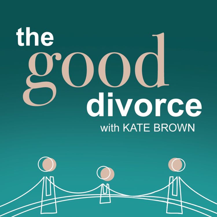 cover art for THE DIVORCE MEDIATOR