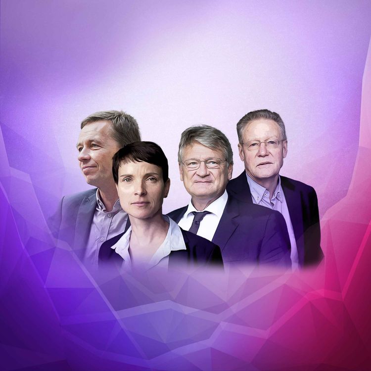 cover art for AfD: Aufstieg durch Radikalisierung