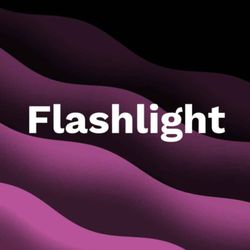 cover art for Flashlight