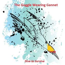 cover art for The Goggle Wearing Gannet.