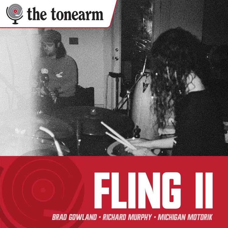 cover art for Fling ii: Modular Synths, Pedal Steel, and Michigan Motorik