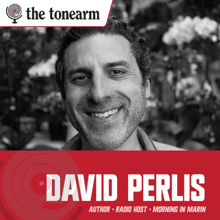 cover art for David Perlis: Everything You Love Is from Marin