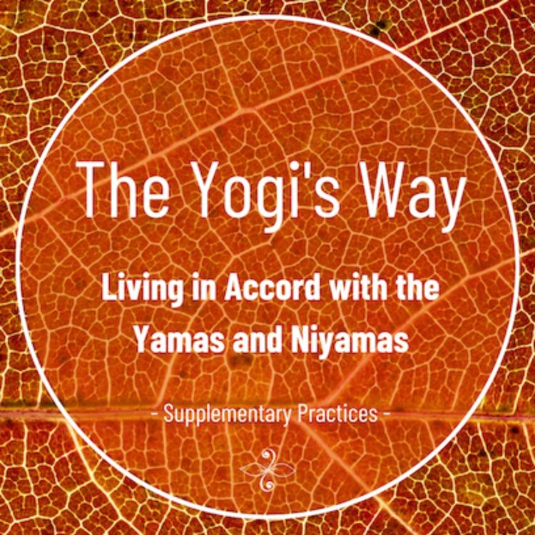 cover art for The Yogi's Way - Week 88