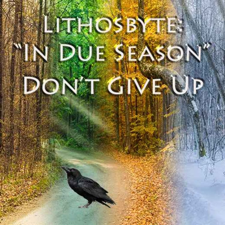 cover art for In Due Season (Don't Give Up)