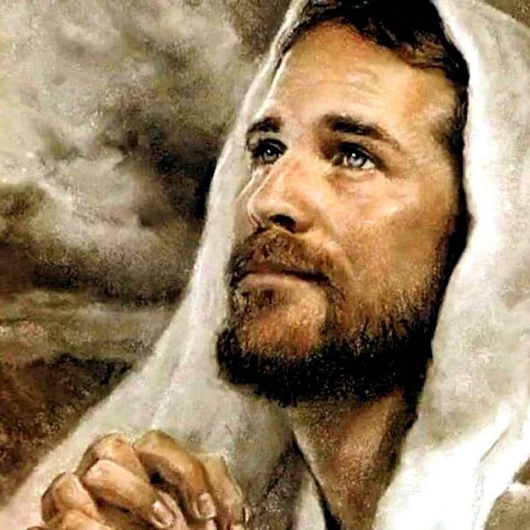 cover art for 29 de noviembre de 2022