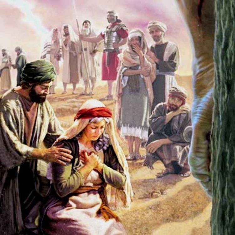 cover art for 29 de mayo de 2023