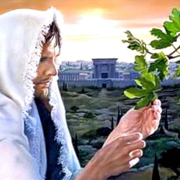 cover art for 2 de junio de 2023