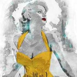 cover art for shipir